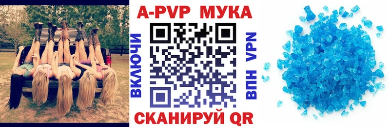 A-PVP СК  Новозыбков 