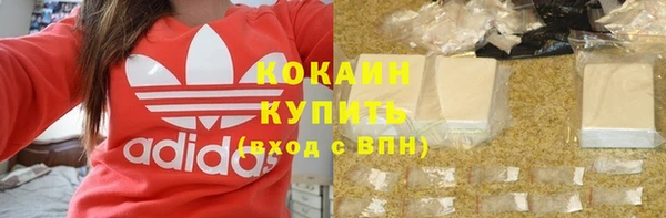 ПСИЛОЦИБИНОВЫЕ ГРИБЫ Новодвинск