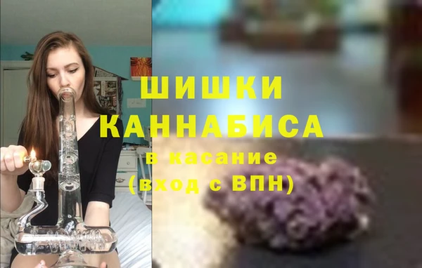 ПСИЛОЦИБИНОВЫЕ ГРИБЫ Новодвинск
