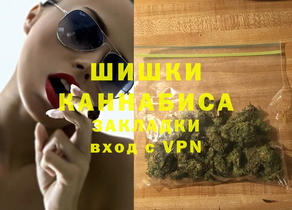 СК Новозыбков
