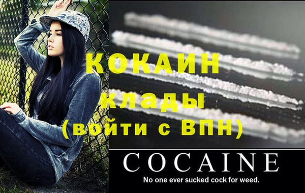 СК Новозыбков