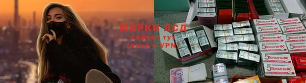 СК Новозыбков