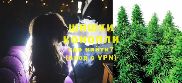 ПСИЛОЦИБИНОВЫЕ ГРИБЫ Новодвинск