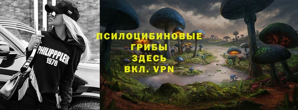 ПСИЛОЦИБИНОВЫЕ ГРИБЫ Новодвинск