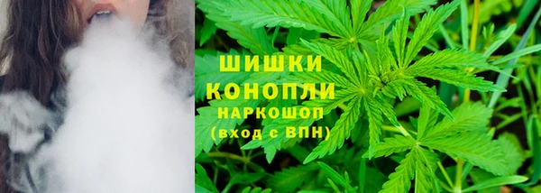 ПСИЛОЦИБИНОВЫЕ ГРИБЫ Новодвинск