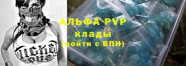СК Новозыбков