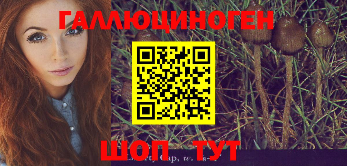 Псилоцибиновые грибы Magic Shrooms Новозыбков