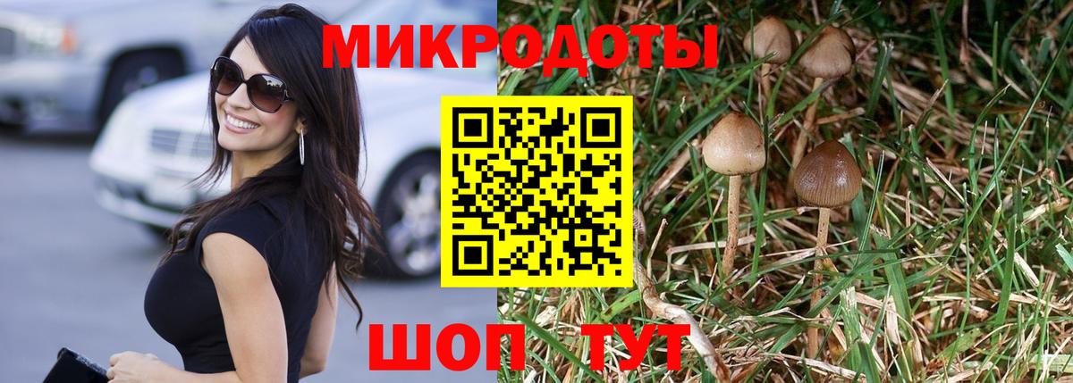 Псилоцибиновые грибы GOLDEN TEACHER  Вход с VPN  Галлюциногенные грибы MAGIC MUSHROOMS  Новозыбков 