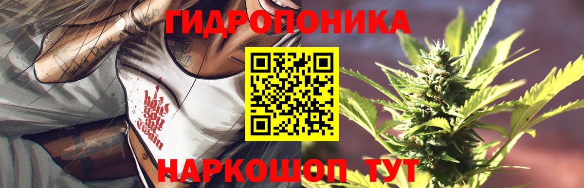 Марихуана конопля  Конопля OG Kush  Вход с VPN  Новозыбков 
